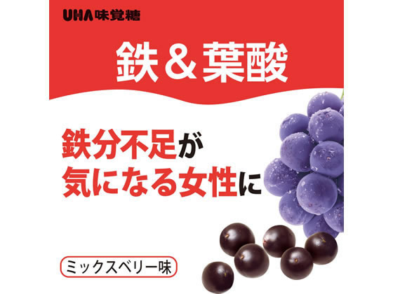 UHA味覚糖 UHAグミサプリ 鉄&葉酸 20日分 40粒 通販【フォレスト UHA味覚糖 UHAグミサプリ 鉄&葉酸 20日分 40粒 通販【フォレスト