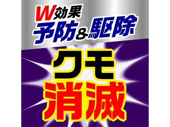 アース製薬 クモの巣消滅ジェット 450mL 2本パック 通販【フォレスト