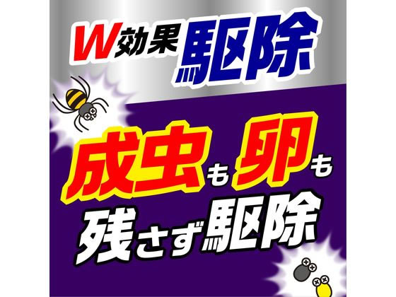 アース製薬 クモの巣消滅ジェット 450mL 2本パック 通販【フォレスト