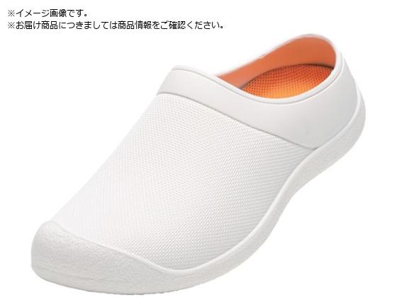 MARUGO hV[Y }_#61 zCg 25.0cm