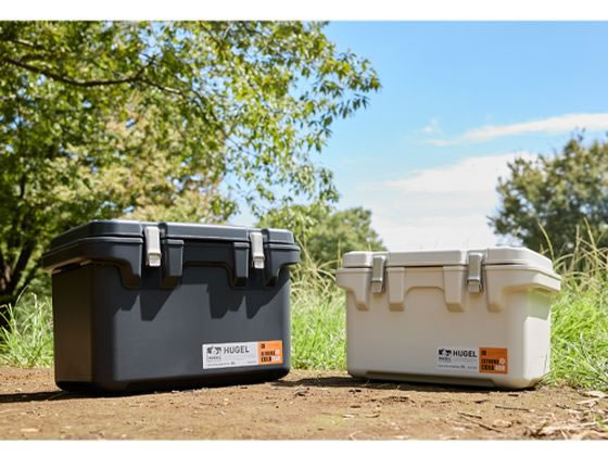 エスコ 551x348x342mm 20L クーラーボックス グレー EA917AL-54 通販