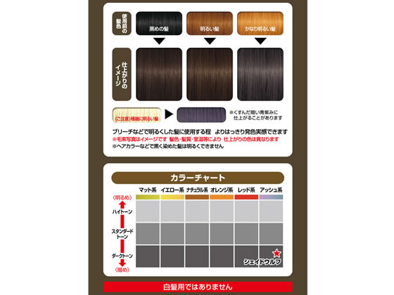 マンダム ギャツビー ナチュラルブリーチカラー シェイドウルフ Forestway 通販フォレストウェイ マンダム ギャツビー ナチュラルブリーチカラー シェイドウルフ Forestway 通販フォレストウェイ