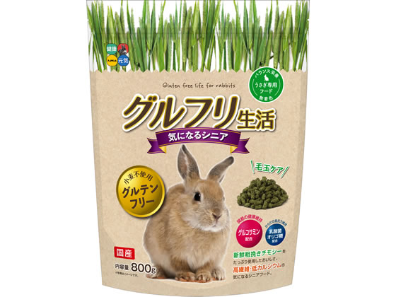ハイペット グルフリ生活 気になるシニア 800g Forestway 通販フォレストウェイ