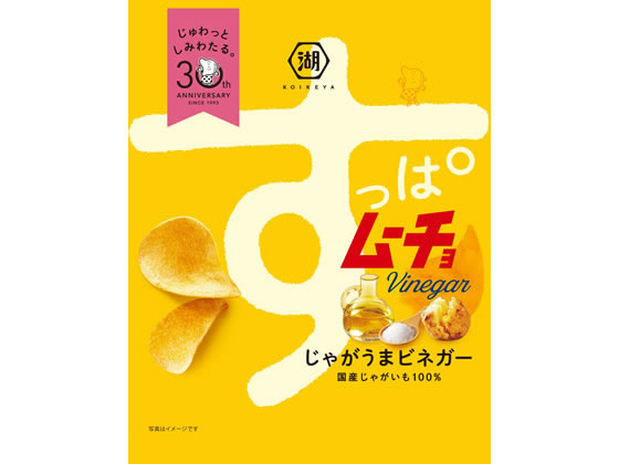 湖池屋 すっぱムーチョ チップス さっぱりビネガー 55g 通販