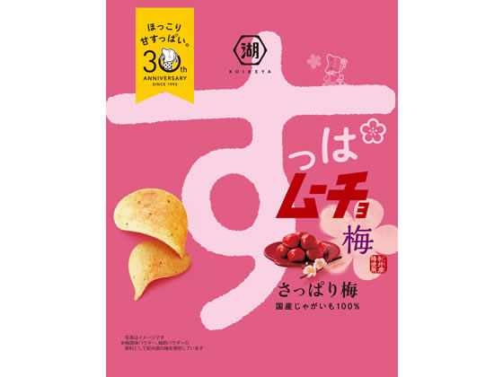湖池屋 すっぱムーチョ チップス さっぱり梅 55g 通販【フォレストウェイ】