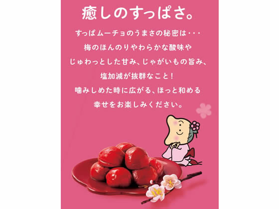 湖池屋 すっぱムーチョ チップス さっぱり梅 55g 通販【フォレストウェイ】