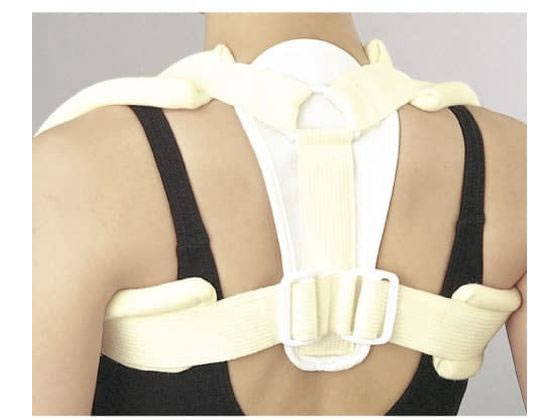 �V�O�}�b�N�X �N���r�N���u���[�X �T�|�[�^�[(����)19-4615-01 15602(SS)