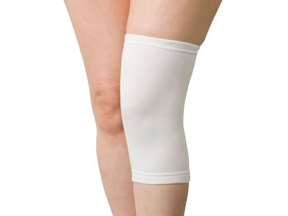 �V�O�}�b�N�X �V�[�����X�T�|�[�^�[ �Ђ� 22-2069-13 301404(1�t�N���C��)