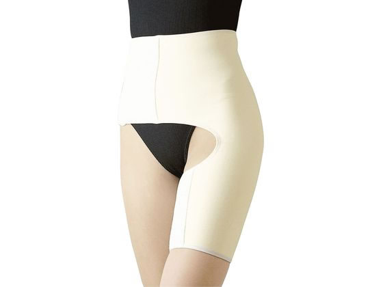 �V�O�}�b�N�X �v���p���c �����E��ڕ��p�T�|�[�^�[ 19-4625-02 17003(L)