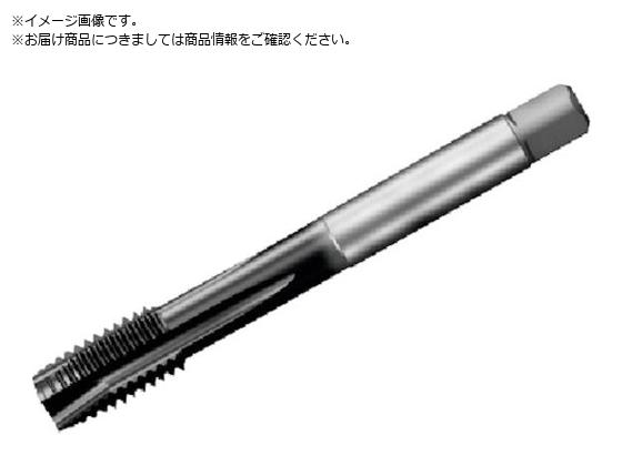 SANDVIK R^bv200 |Cg^bv 780 P1PM T200-PM101JA-M10 P1PM 780