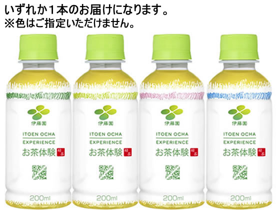 伊藤園 お茶体験 200mL 62067 通販【フォレストウェイ】