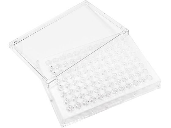 �X�e�� 96���v���[�gV��J�o�[�t(�ŋ�)�K���}���ŋ� �}�C�N���v���[�g 25-6137-02 P96V09S(50�}�C)