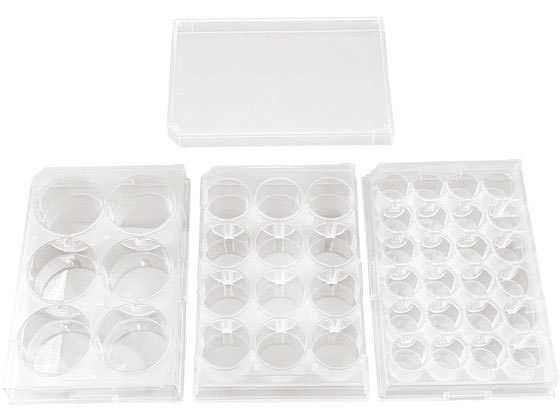 �X�e�� �������E���V���|�{�v���[�g(24��)24�� �}�C�N���v���[�g 25-6141-02 P24F01S(60�}�C)