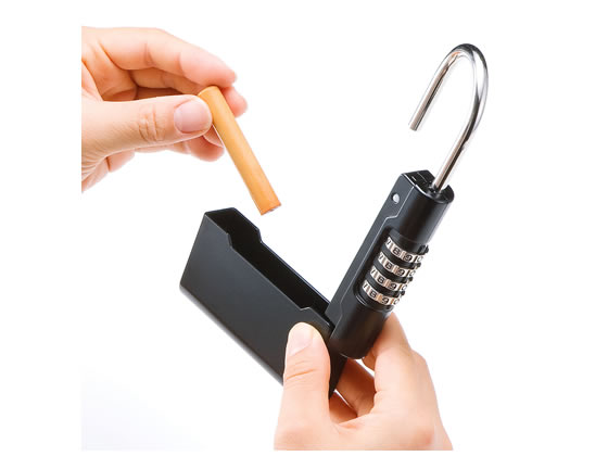 サンワサプライ セキュリティ鍵収納ボックス(左右開閉式) SL-74 通販