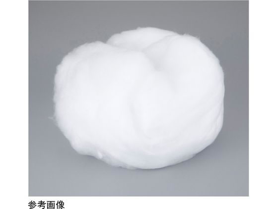 �A�Y���� �Ήp�E�[�� 1�`3��m 10g�� 4-4949-01