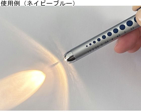 テイエムアイ AIZENメディカルペンライト(ニップル球タイプ)医療用瞳孔