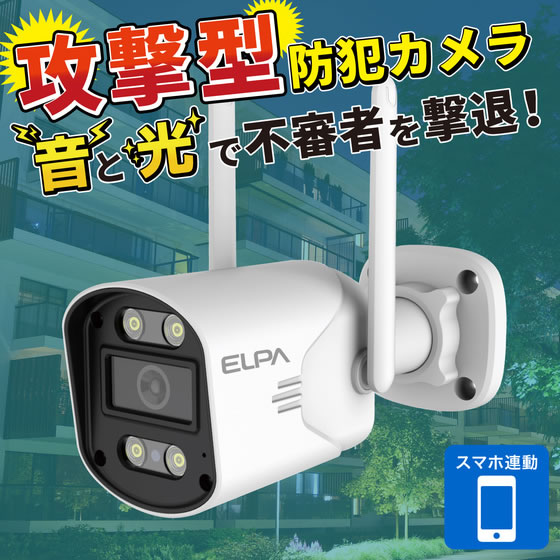 朝日電器 防犯士が作ったスゴイ防犯カメラ 屋外用 バレット形カメラ AC