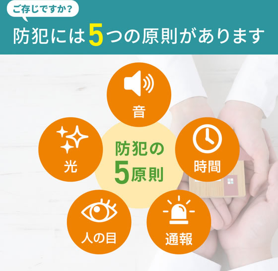 朝日電器 防犯士が作ったスゴイ防犯カメラ 屋外用 バレット形カメラ AC