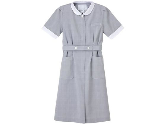 �i�K�C���[�x�� ���K�� EL �O���[ GC-2207