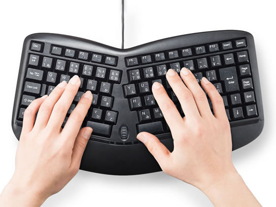 エルゴノミクス グレー キーボード 本体 1010890101.jpg