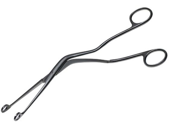���{�t���b�c���f�B�R �}�M�[����q 25cm �� 61-7040-73