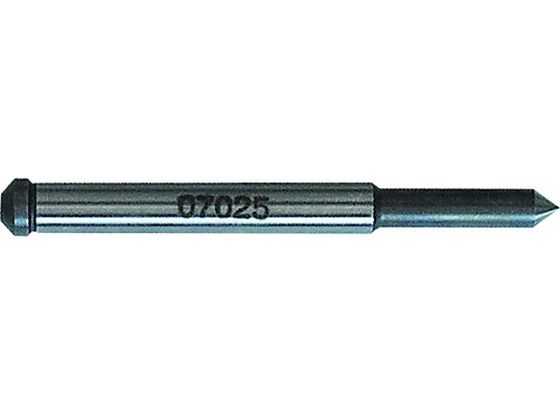  pCbgsB-2 07025L 37319 NO.07025L