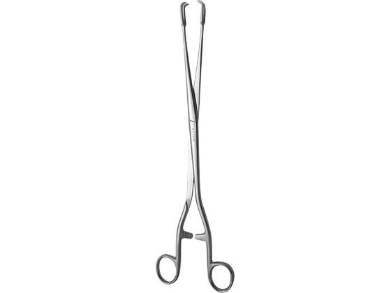 �A�g�����f�B�J�� �ˌ��S����q 64-8951-94