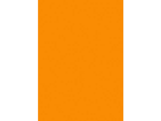 タカ印 蛍光ポスター A4 橙 13-3184 通販【フォレストウェイ】