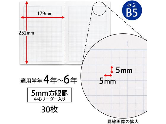 キョクトウ スクールノート B5 5mm方眼 チェック柄ピンク LMC5GP