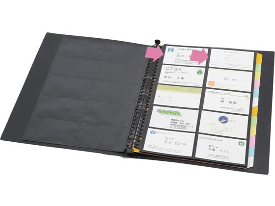 キングジム ショットドックス 名刺ホルダー差替A4 背幅35青 36SDW-B