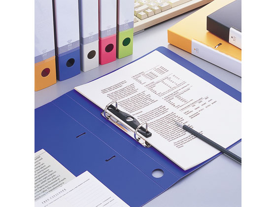 リヒトラブ D型リングファイル A4タテ 背幅56mm 白 G2240-0 通販