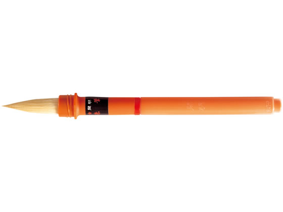 616205a.jpg