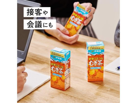伊藤園 健康ミネラルむぎ茶 250mL 24本 通販【フォレストウェイ】