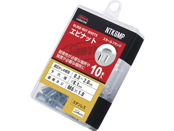 uebNX uChibg uebNXibg  EXeX GRpbN 2.0 M6X1.0 10 NTK6MP