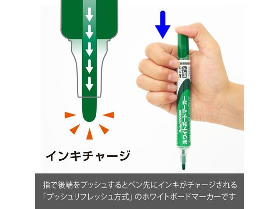 ぺんてる ホワイトボードマーカー ノックル 細字 緑 10本 EMWLS-D 通販