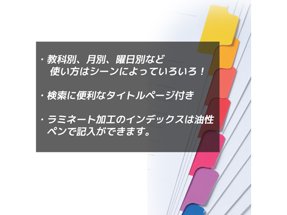 マルマン ラミネートタブインデックス A4 10色10山 30穴 LT4010