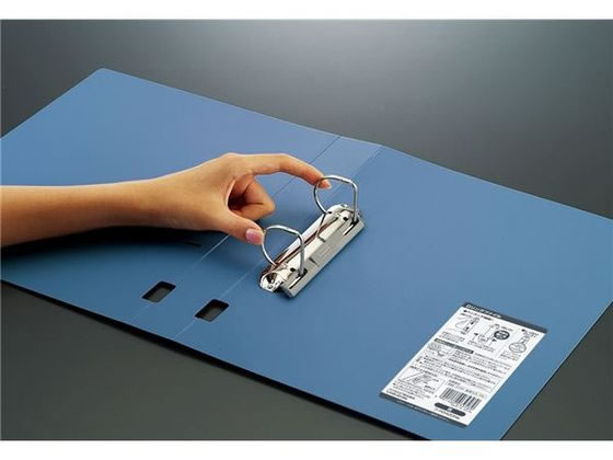 同梱 Z/X】シーツ「春日&ネイ」 ゼクストリーム 2024.SUMMER ゼクス