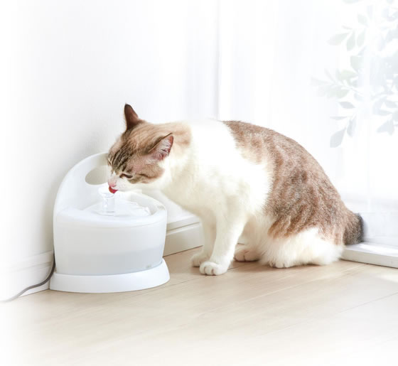 ジェックス ピュアクリスタル フィット 2WAY 900mL ホワイト 通販