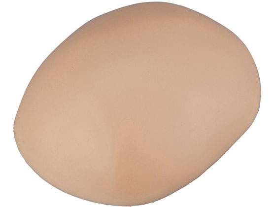 onew　運動器の機能と構造 1 、2、3＊裁断済み アズワン 訓練用モデル(ナビトレ)頭部縫合モデル 7-7508-01 通販