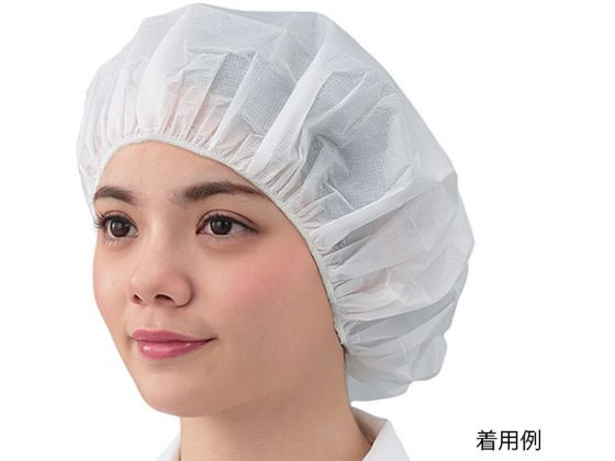 �A�Y���� �v���V�F�A�R�[�e�B���O�L���b�v 100���� 7-7669-01