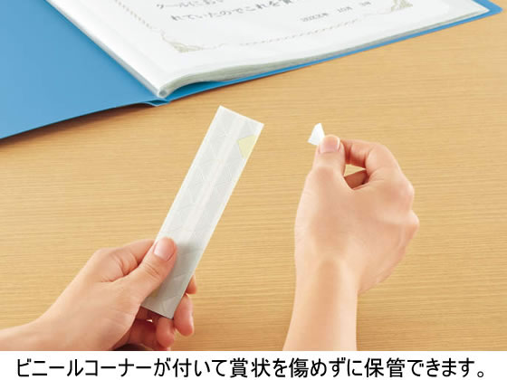 コクヨ 賞状ホルダーPP A3ポケット10枚 赤 セイ-811NR 通販