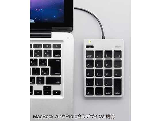 サンワサプライ USB2.0ハブ付テンキー(Mac専用) NT-M18UHSV 