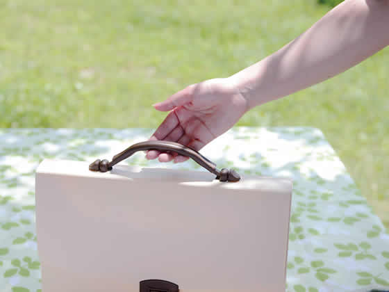 ライオン事務器 キャリングバッグ イロキャリ A4 40mm ミルクティー ライオン事務器 キャリングバッグ イロキャリ A4 40mm ミルクティー