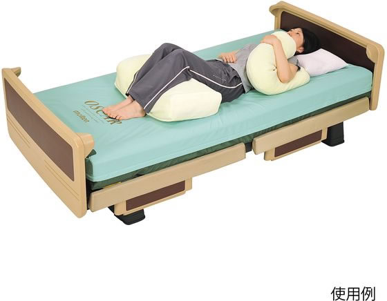 モルテン ミント ポジショニングクッション 800×500mm 7-9318-03 通販