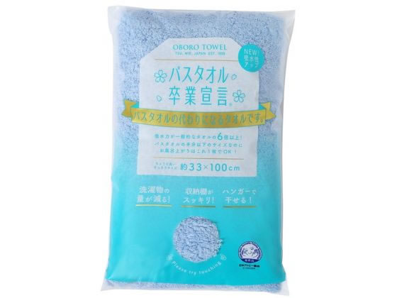 �{���^�I�� �o�X�^�I�����Ɛ錾 �L�����p�X�u���[ 2401-1CB