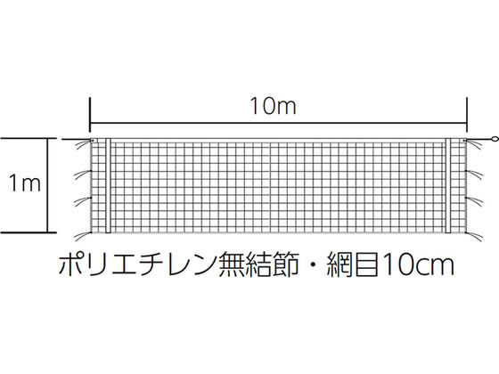 TOEI LIGHT �g�[�G�C���C�g �o���[�{�[���l�b�g 9�l�� ���q �㕔�̂ݔ��ѕt ����AA�� 440T 60�{ �x�N�g�����R�[�h 7mm�~15m