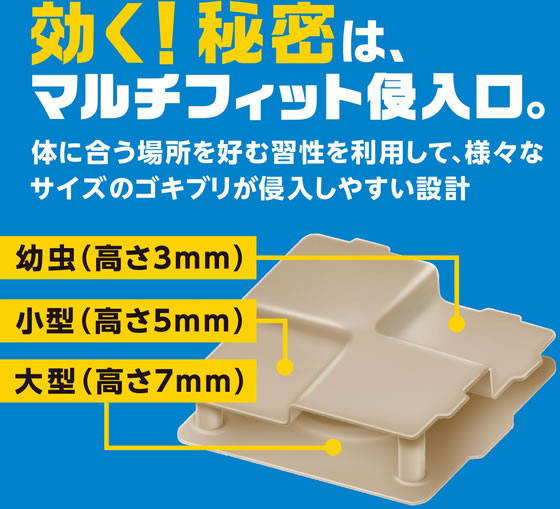 アース製薬 ブラックキャップ フィットタイプ 32個入 通販【フォレスト
