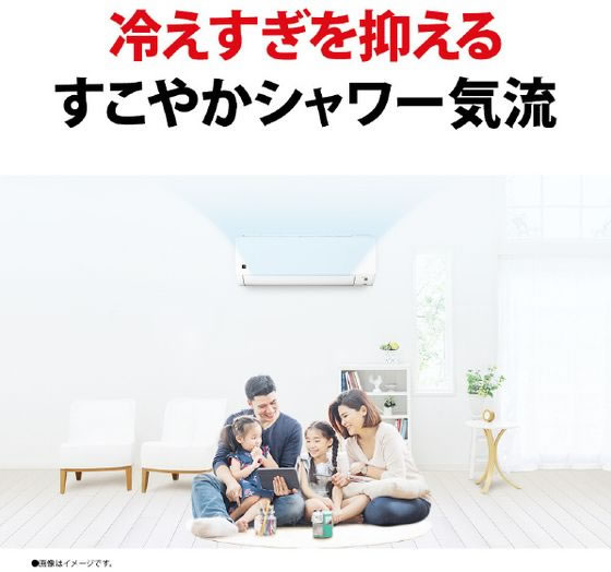 シャープ 【配送のみ・工事なし】6畳向け 冷暖房エアコン プラズマ