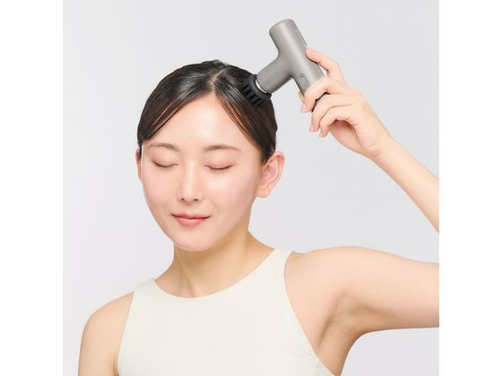 DOCTOR AIR エクサガン LUXE ダスティグレー REG-12GR 通販