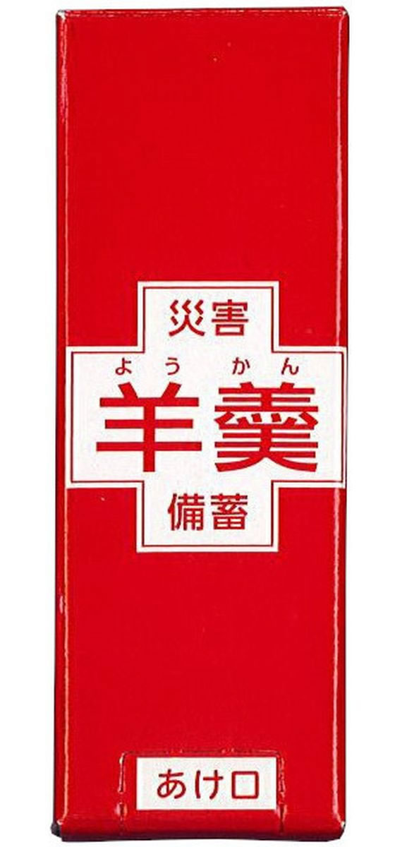 ファミリー・ライフ 防災士が選んだ防災用品 39点セット a33345